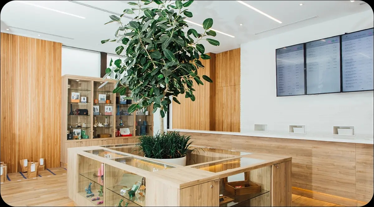EU Cannabis Online Dispensary for Legal Cannabis Products