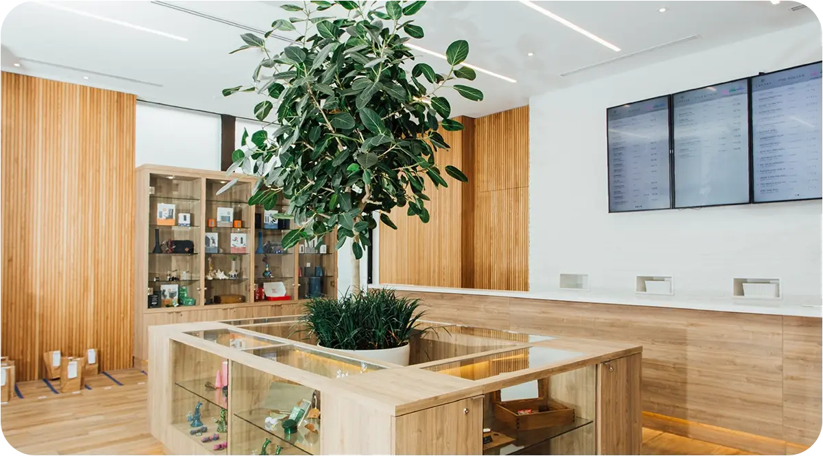 EU Cannabis Online Dispensary for Legal Cannabis Products